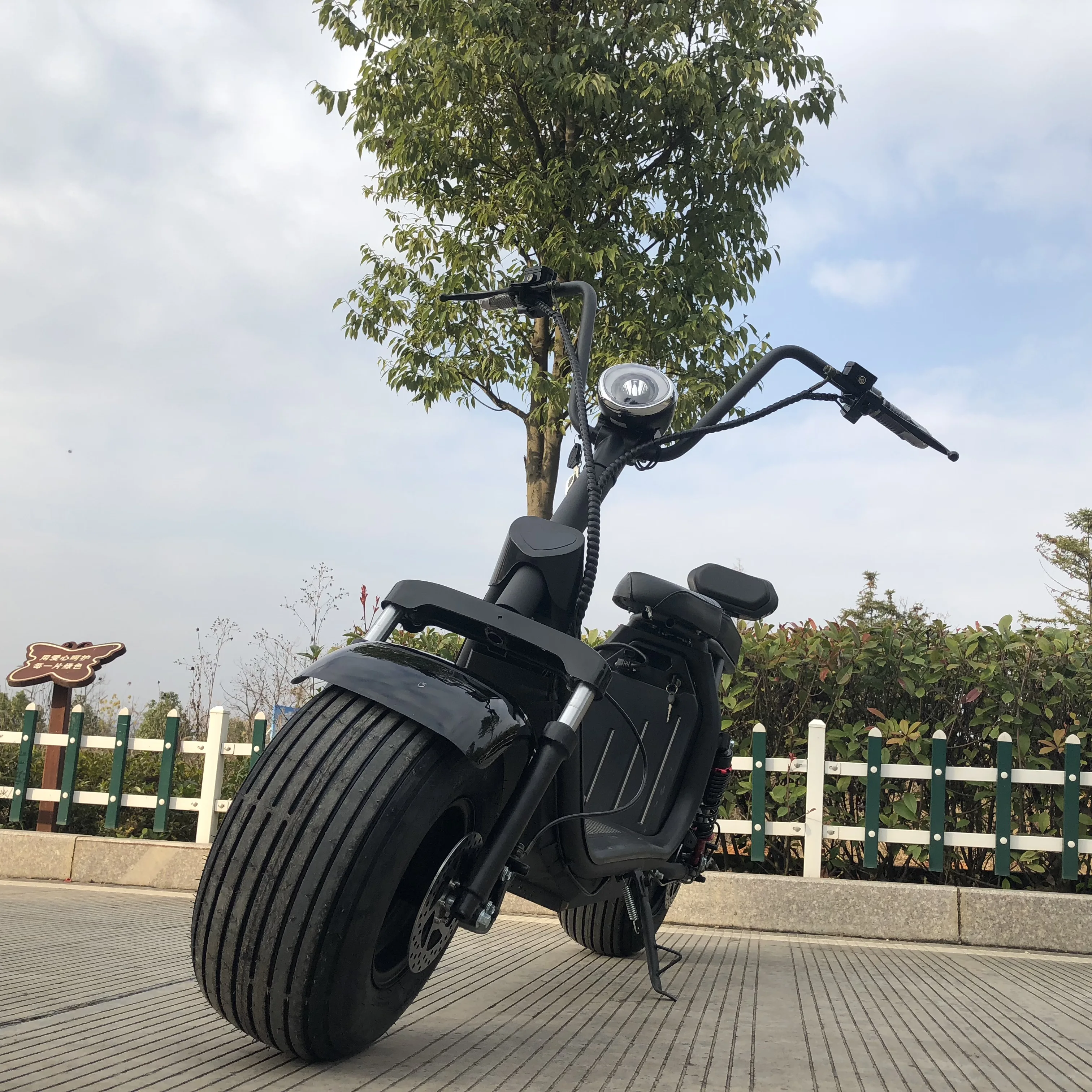 hot sale cheap small electric scooter moped 1000w electric motorcycle with pedals assistant