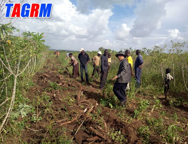 Многофункциональный маниока морковь картофеля арахиса уборочное оборудование/маниока комбайн