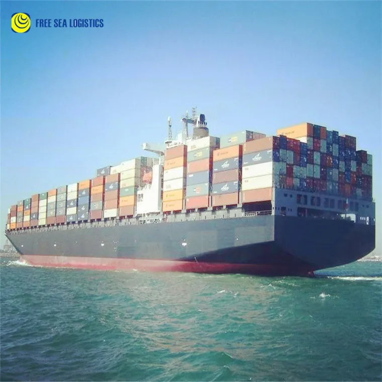Import and export container sea freight shipping agent from shenzhen guangzhou ningbo to Ashdod  Service