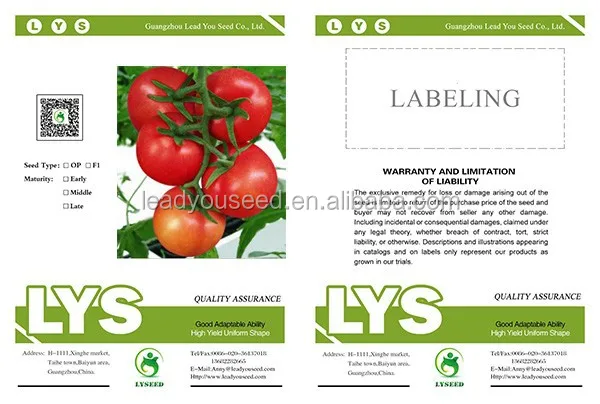 T09 Jida stronger TYLCV resistant ability hybrid tomato seeds for sale