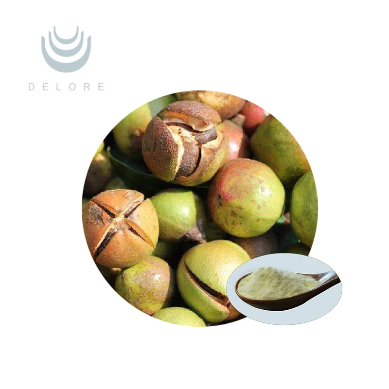 Factory supply 100% Natural Camellia seeds extract 95% Tea Saponins