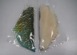 Frozen Parrot Fish whole round for sale