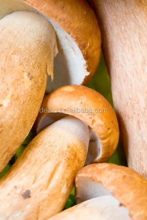 
Detan Dried Porcini Mushrooms 