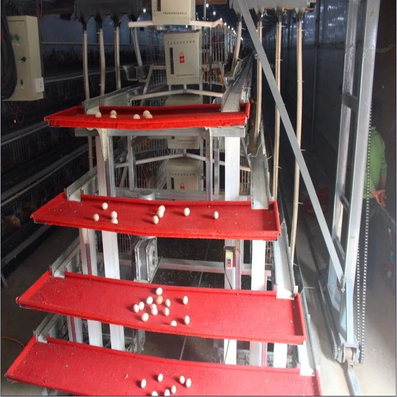 China Factory Direct Sales Poultry Equipments layer Chicken Cage/Automatic Chicken Cage&Poultry Chicken Cage