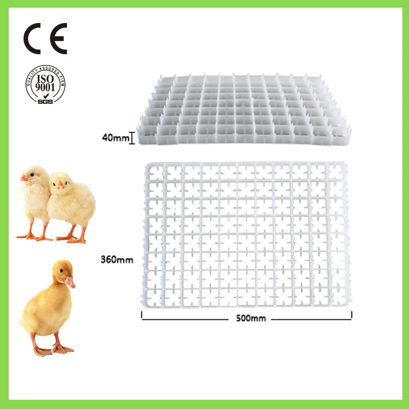 Factory supply plastic egg tray for incubator