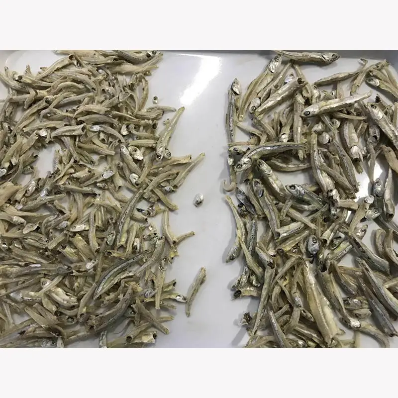 Fish Meat Bone Separator Fish Processing Equipment Fish Sorting Machine