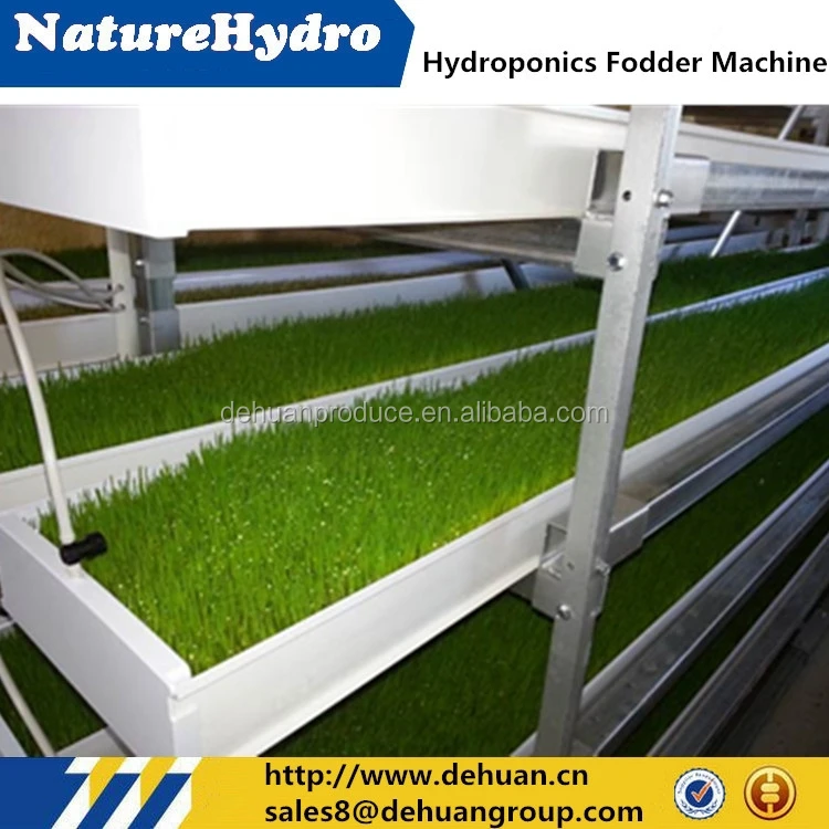 Hot sale commercial bean sprout machine /hydroponic fodder machine in greenhouse