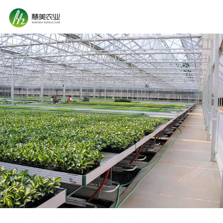Rolling bench trays Greenhouse Ebb and Flow bench