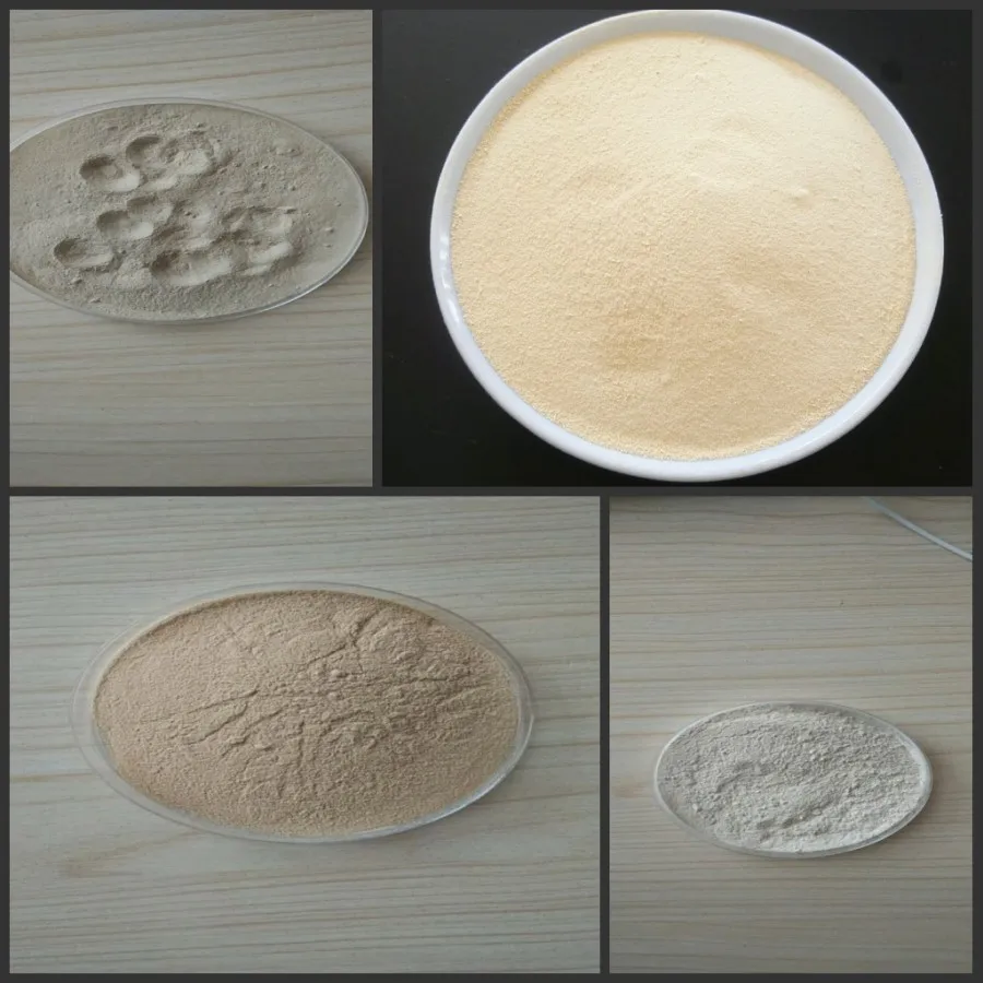 Bacillus Subtilis for Agricultural probiotics