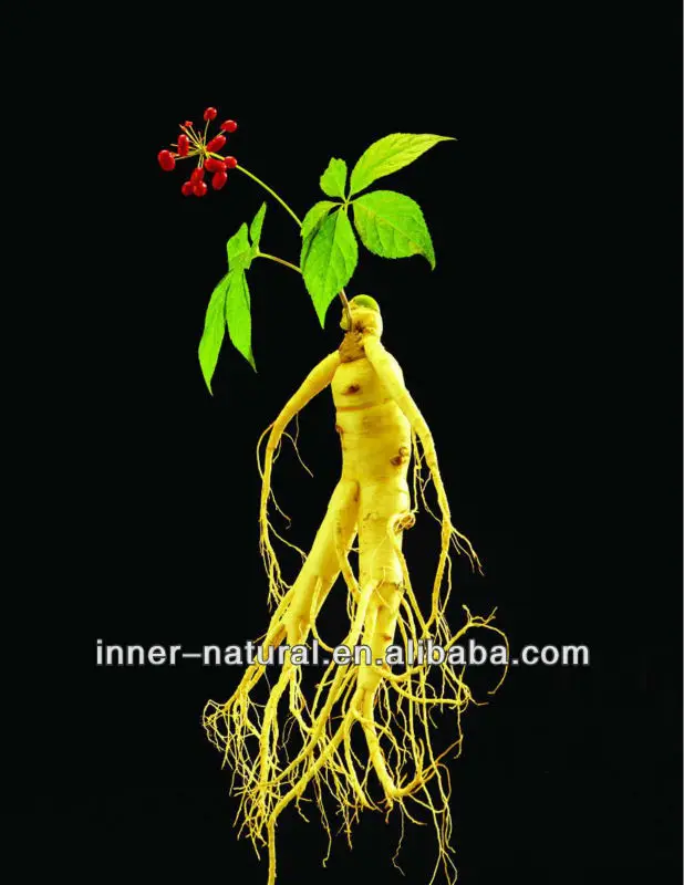 
Low Pesticides residues-Panax Ginseng Root P.E.(5%-30% Ginsenosides HPLC) 