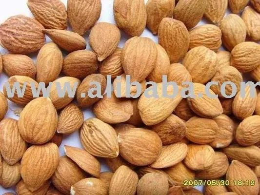 Sweet / Bitter Apricot Kernels