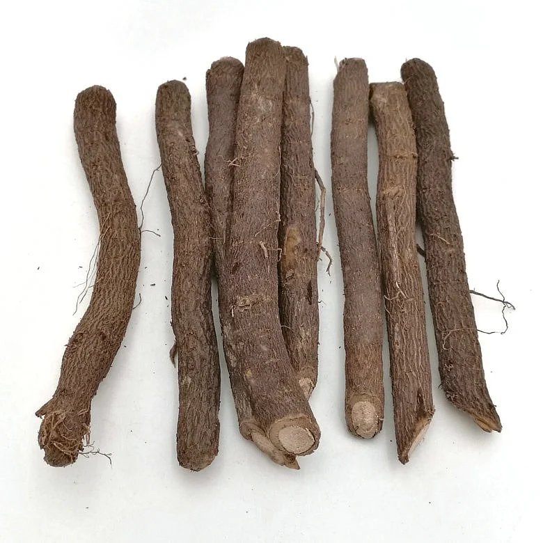 
Текущий год, быстрое выращивание, хорошее качество, гибридный корень павловнии для посадки 