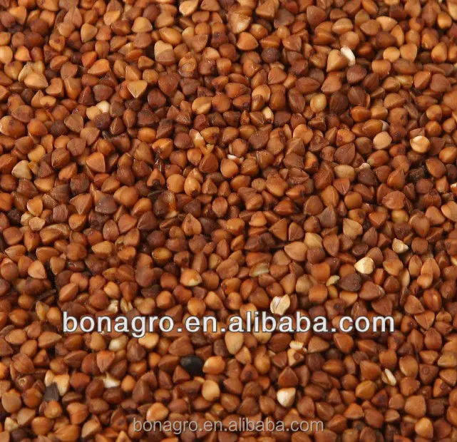 
Сушеный гречневый 