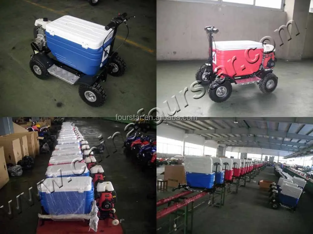 Fourstar racing cooler car/scooter Cooler Scooter