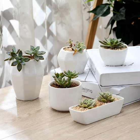 White minimalist creative gardening fake flower resin ceramic small flower pot