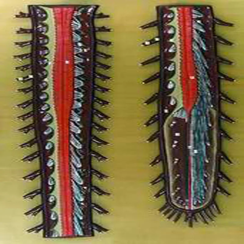 
Biology Teaching Aids Anatomical Bas Relief Model of Spinal Cord 