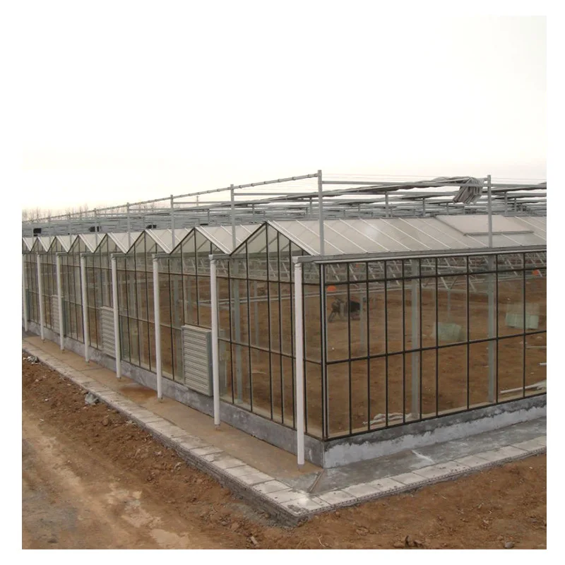 Easy Installed Garden Plastic Film Glass Greenhouse for Strawberry