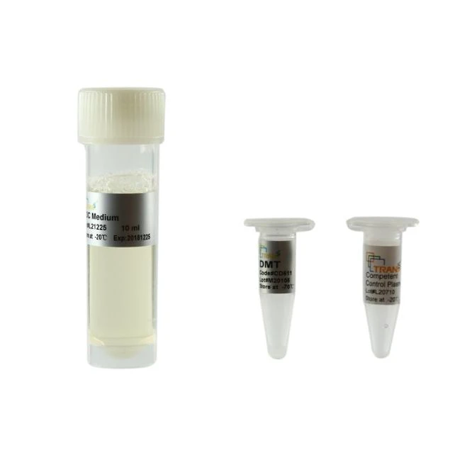 
DMT Chemically Competent Cell 