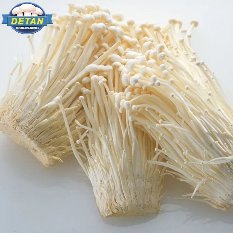 Detan Fresh Enoki, ботаническое название гриба