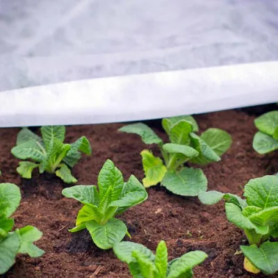 UV resistant breathable 100% polypropylene non-woven agriculture and garden TNT nonwoven fabric