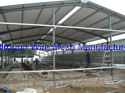 
layer egg chicken cage/poultry farm house design 