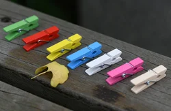 mini colorful wooden peg photo clip