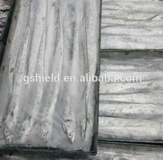 
Fresh frozen seafood Ribbon fish belt fish hairtail in sale 