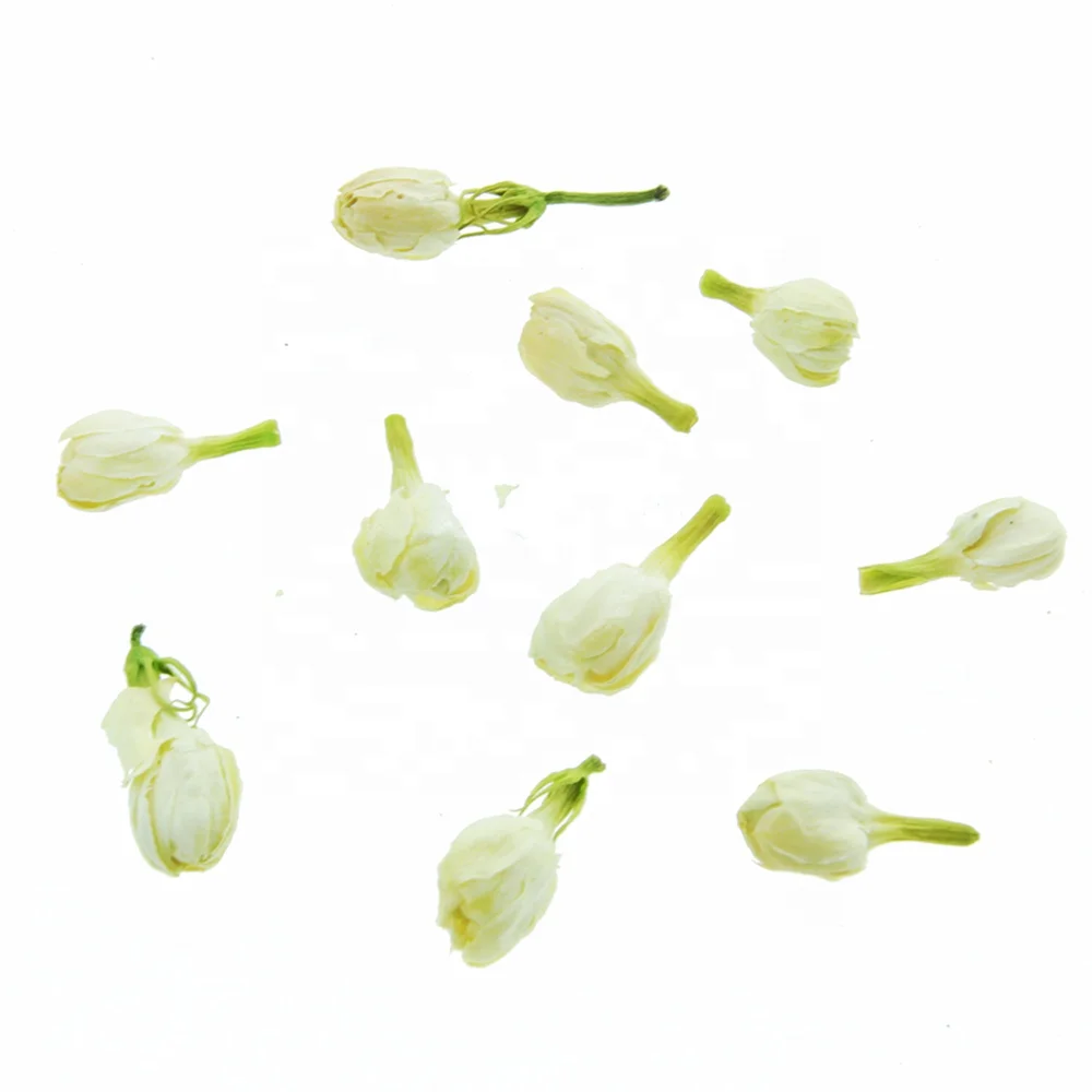 
Chinese Indonesia Pure Jasmine Dried Pearl Buds Flower Flowers Herb Tea Brands Pearls Prices Export Manufacturer Wholesale 