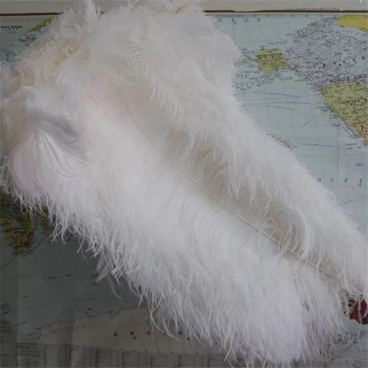 AYFOF--21 75-80cm selected top quality large white ostrich feathers for sale