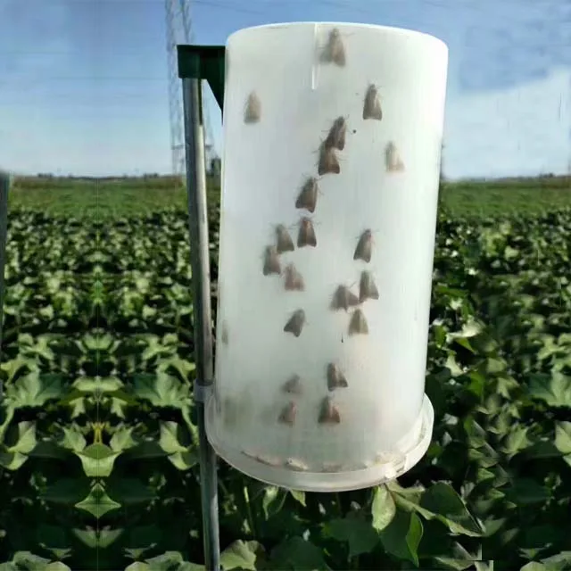 Cotton bollworm helicoverpa armigera pheromone lure pheromone trap