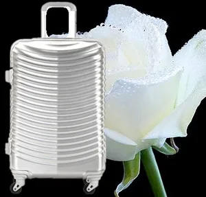 
suitcase cabin travel luggage trolley bag ABS PC luggage sets carry on luggage bag 