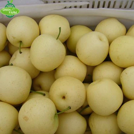 Fresh crown pears 200-250g 250-350g 60-85mm sales