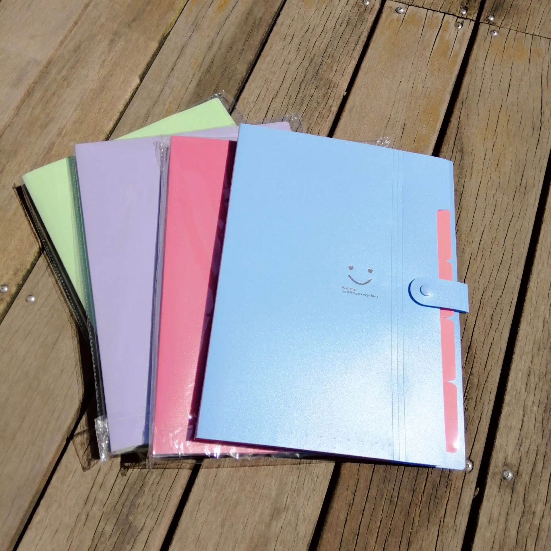 2020 Fashion type China supplier hard cover a3 file folder a3 hard cover file folder plastic file folder a4