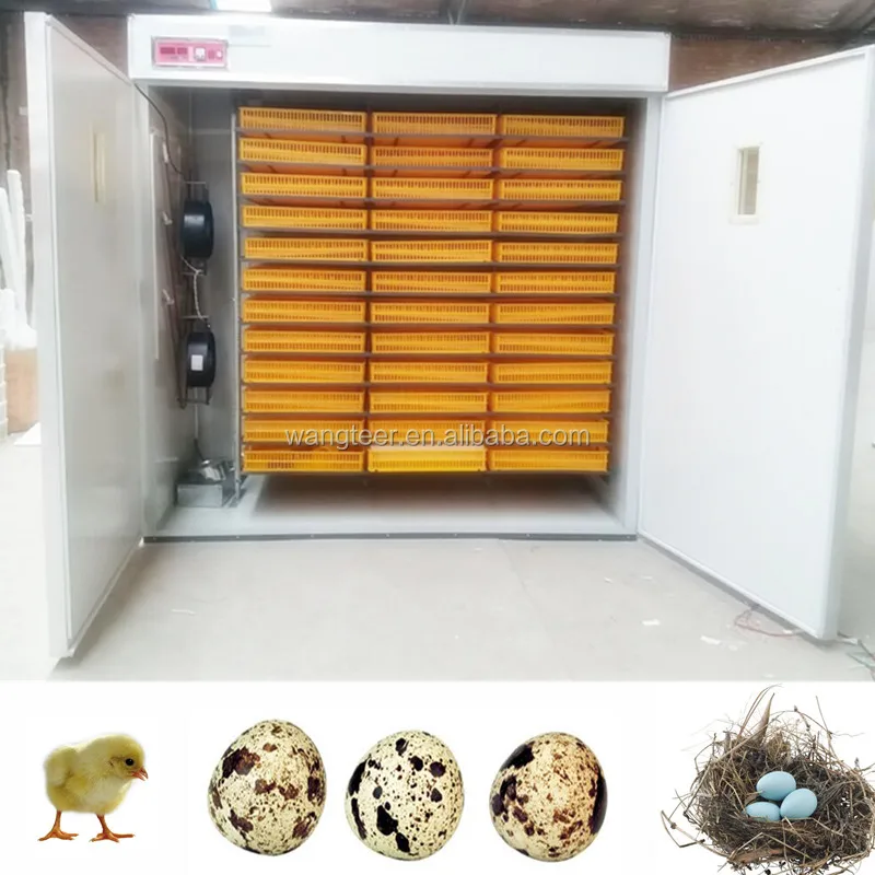 Factory sales 528/1056/2112/3580 China Automatic Digital Thermostat Ostrich Incubator