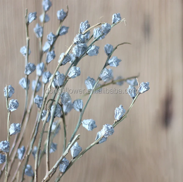 Dried natural Eucalyptus branch fruit globules, fragrance flower for floral arrangement