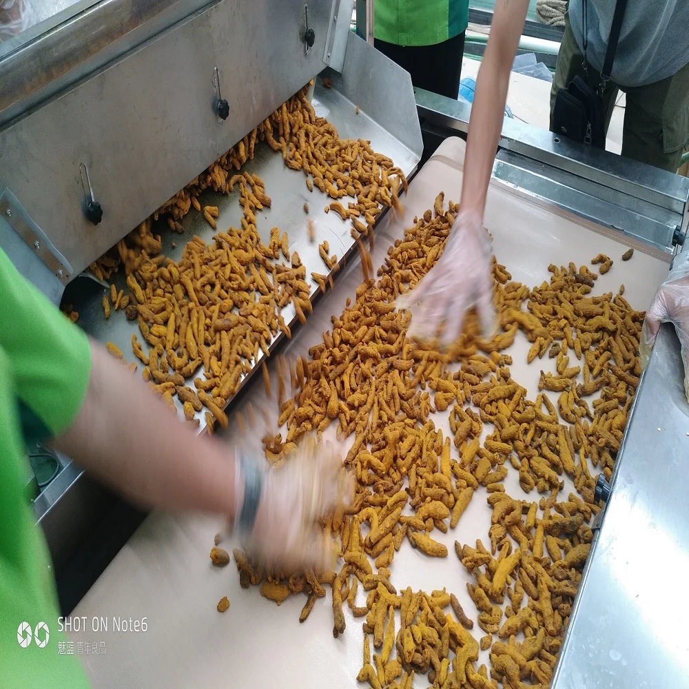 Microwave Turmeric Cleaning and Drying Line