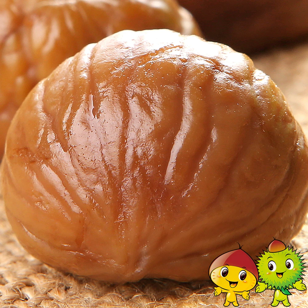 Factory hot sells chestnut from china