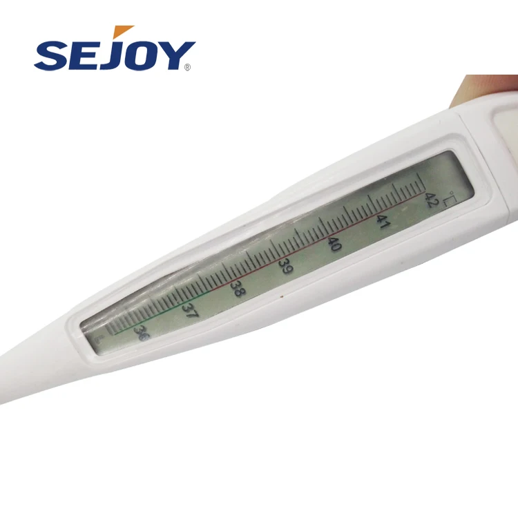 
Graduated Scale Digital Clinical Mercury Free Thermometer 