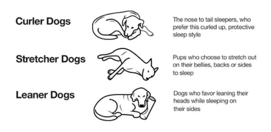 
home goods dog bed breathable high quality fabric for dog bed soft and comfortable hot sell noble yellow and brown dog sofa 