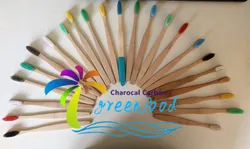 100% Biodegradable Bamboo toothbrush with Soft Bristle for Home Use