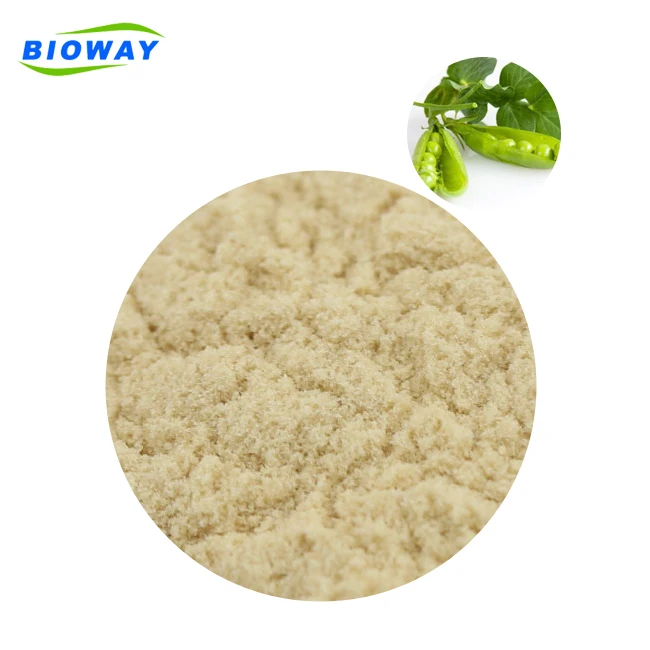 
Food/USP Grade NON-GMO Organic Pea Protein powder 