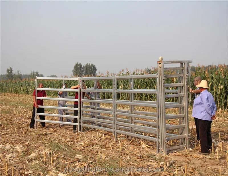 Cattle hurdle corral yard panel