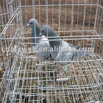 galvanized pigeon cage