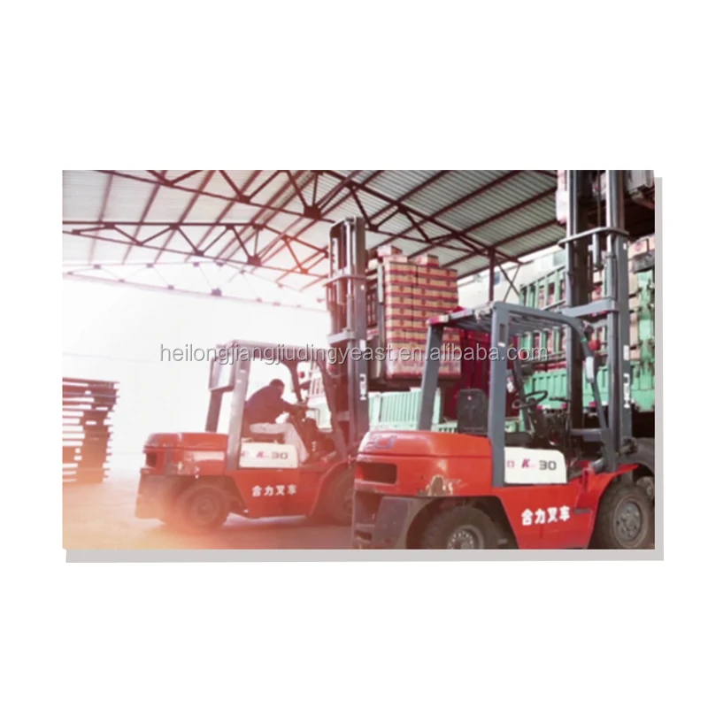 BV/HACCP/HALAL certification active dry yeast factory