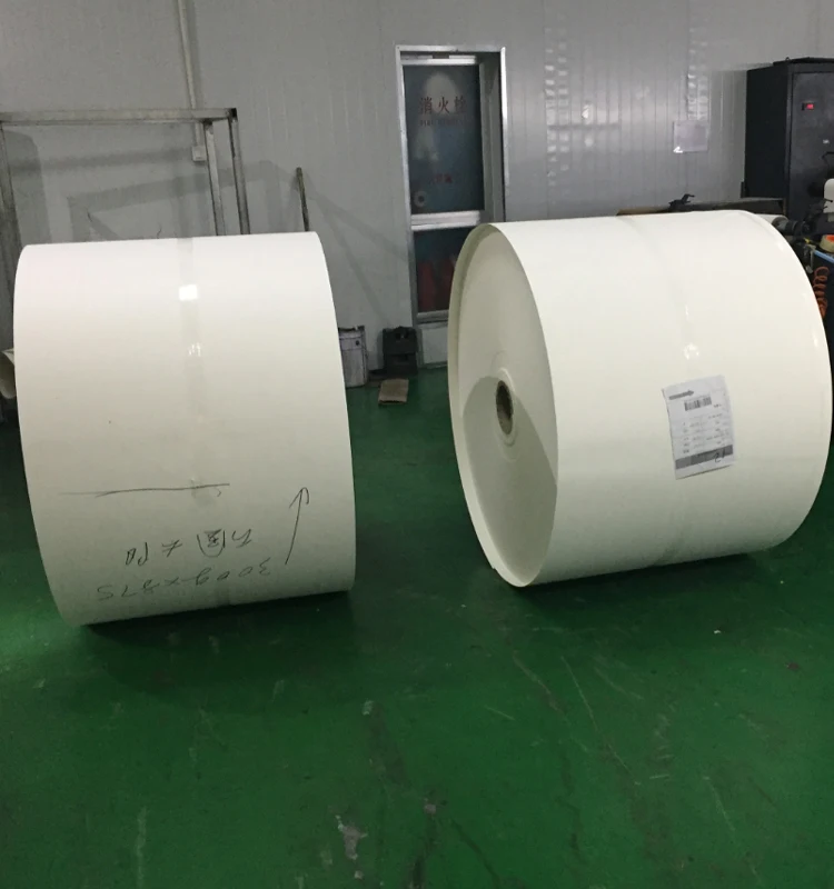 
China Suppliers Single PE Coated Paper Jumbo Roll For Disposable Paper cup 