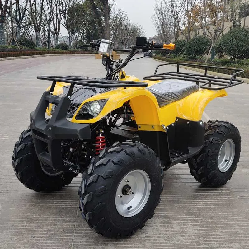 High quality 500/800/1000W electric mini kids ATV quad bike with CE