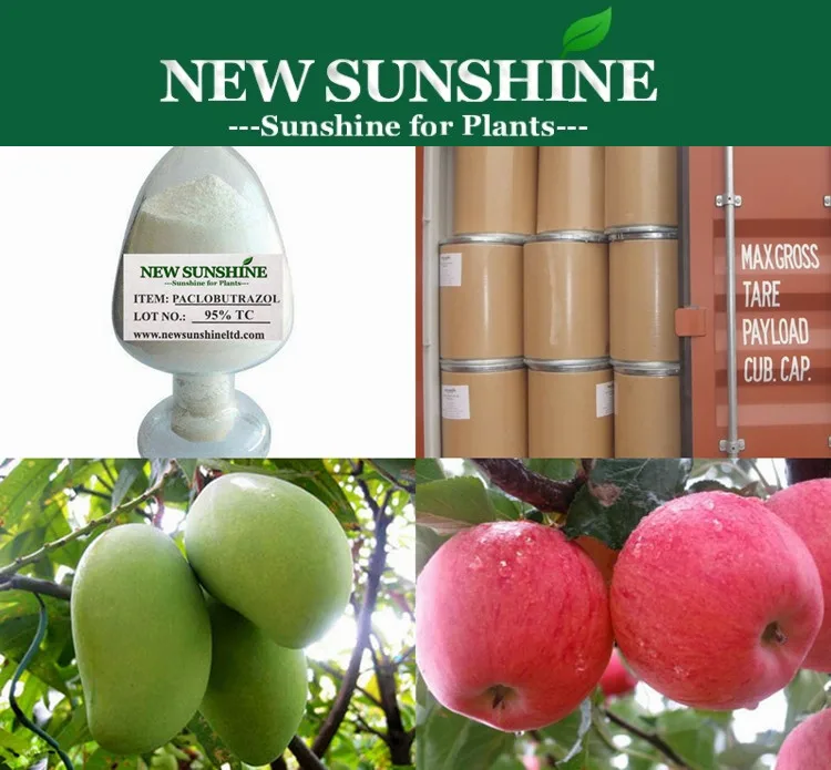 
Professional Manufacturer Plant Hormone Paclobutrazol 95%TC 