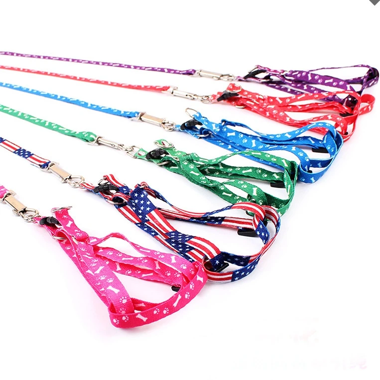 2022 Newest Cheap Soft Nylon Polyester Pet Collar Custom Print Dog Leash 1CM Small Size For Small Puppy Dogs