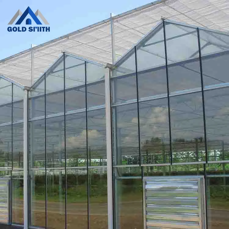 China Greenhouse Supplier Gold Smith Agricultural Glass Greenhouse
