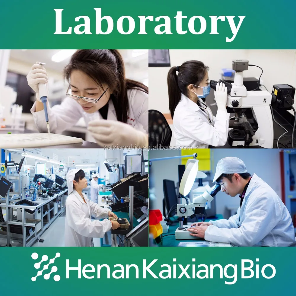 
Manufacturer Supply Top Grade catherine genistein 98% hplc 